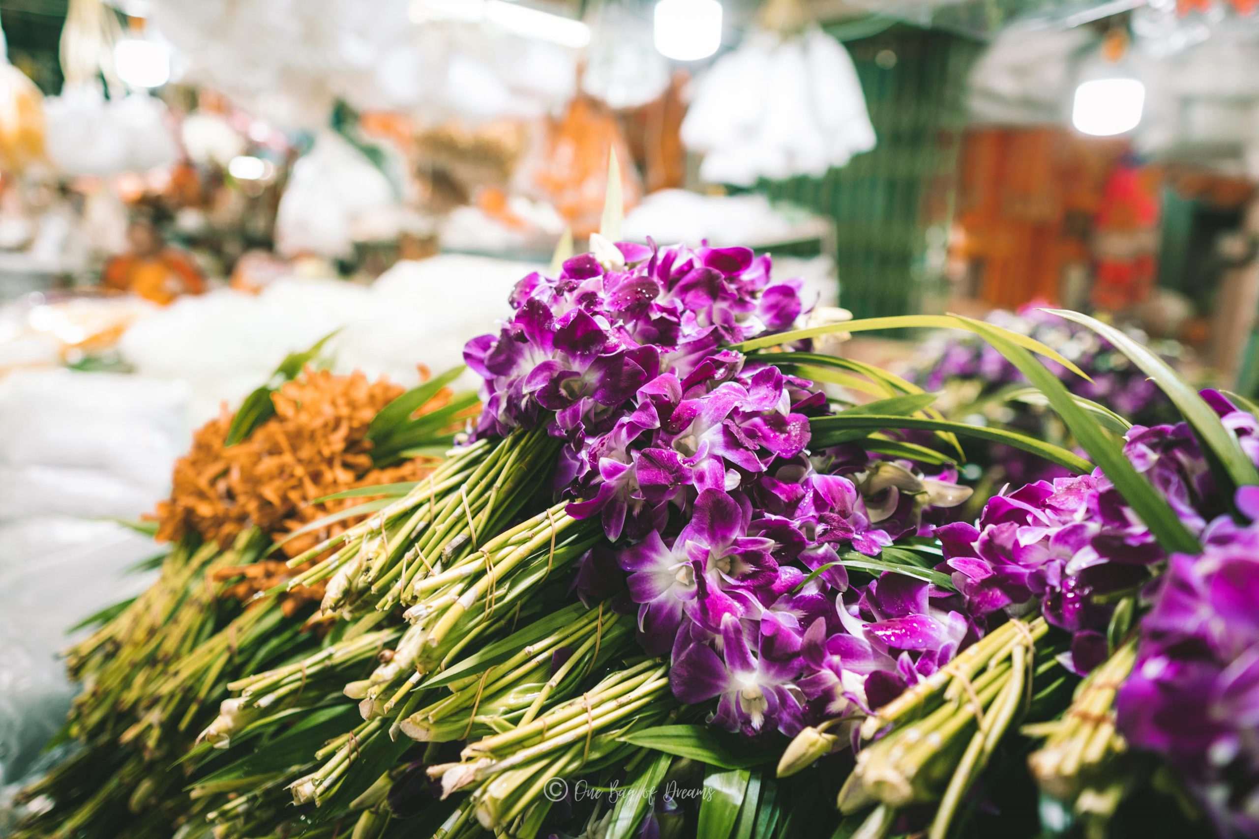 Flower Markets of Bangkok