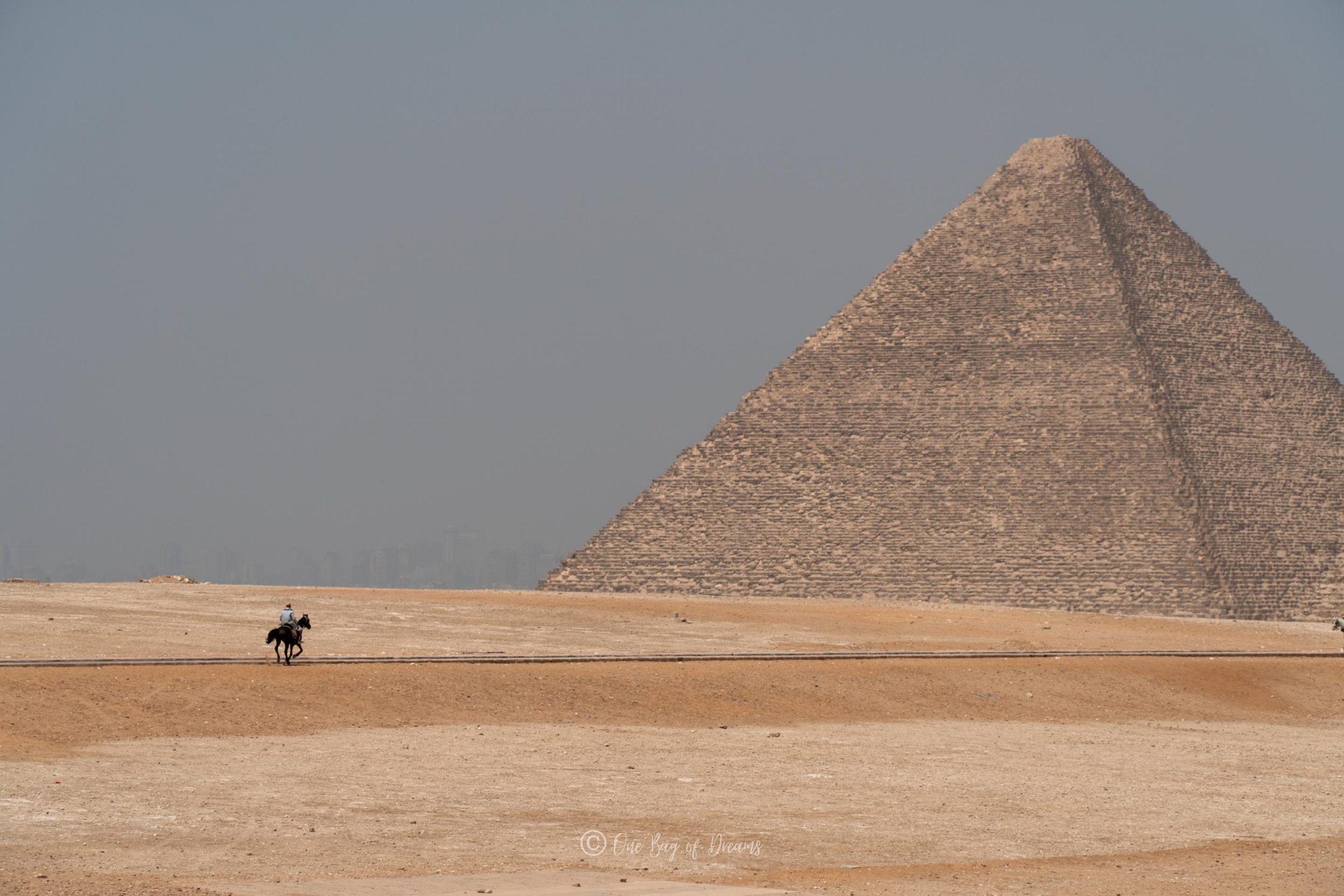 A Horse in front of the Pyramids