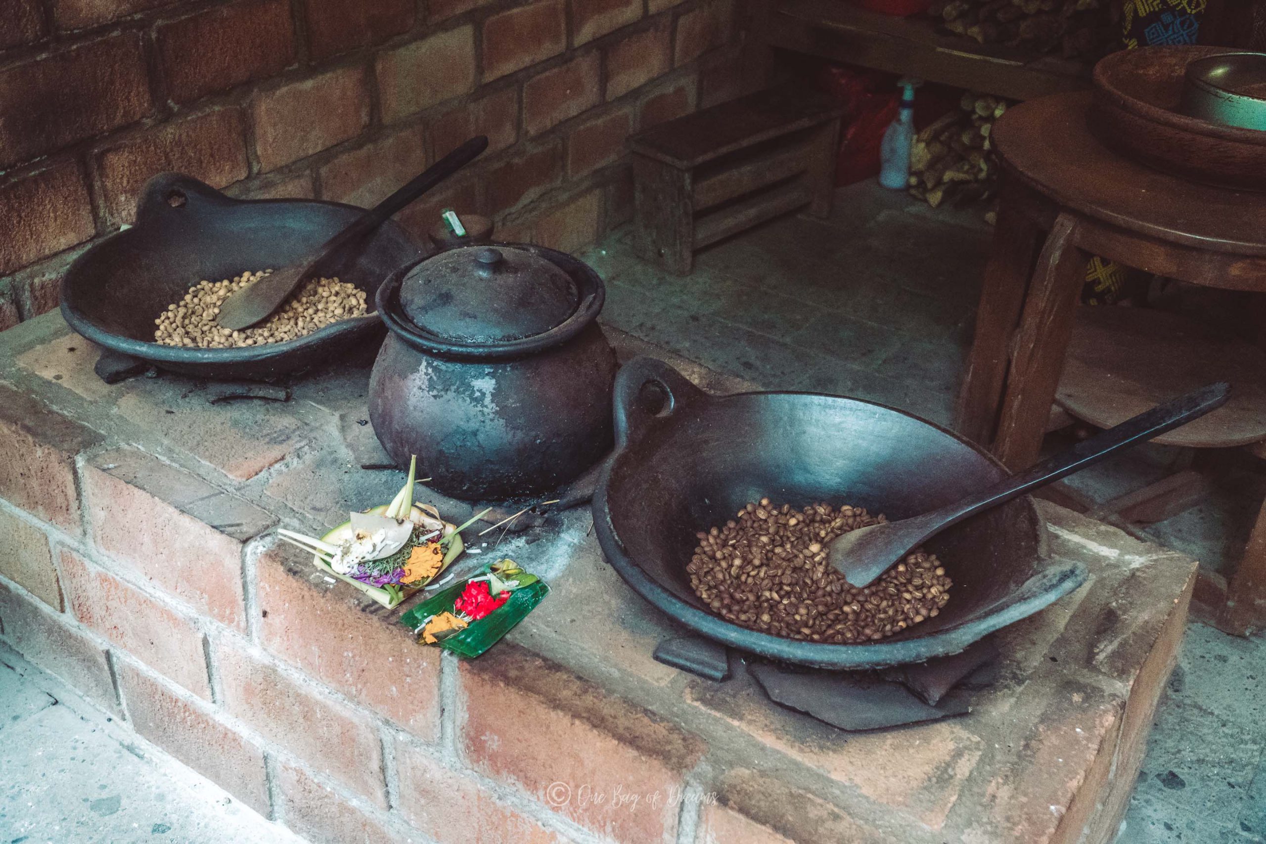 Luwak Coffe in Bali