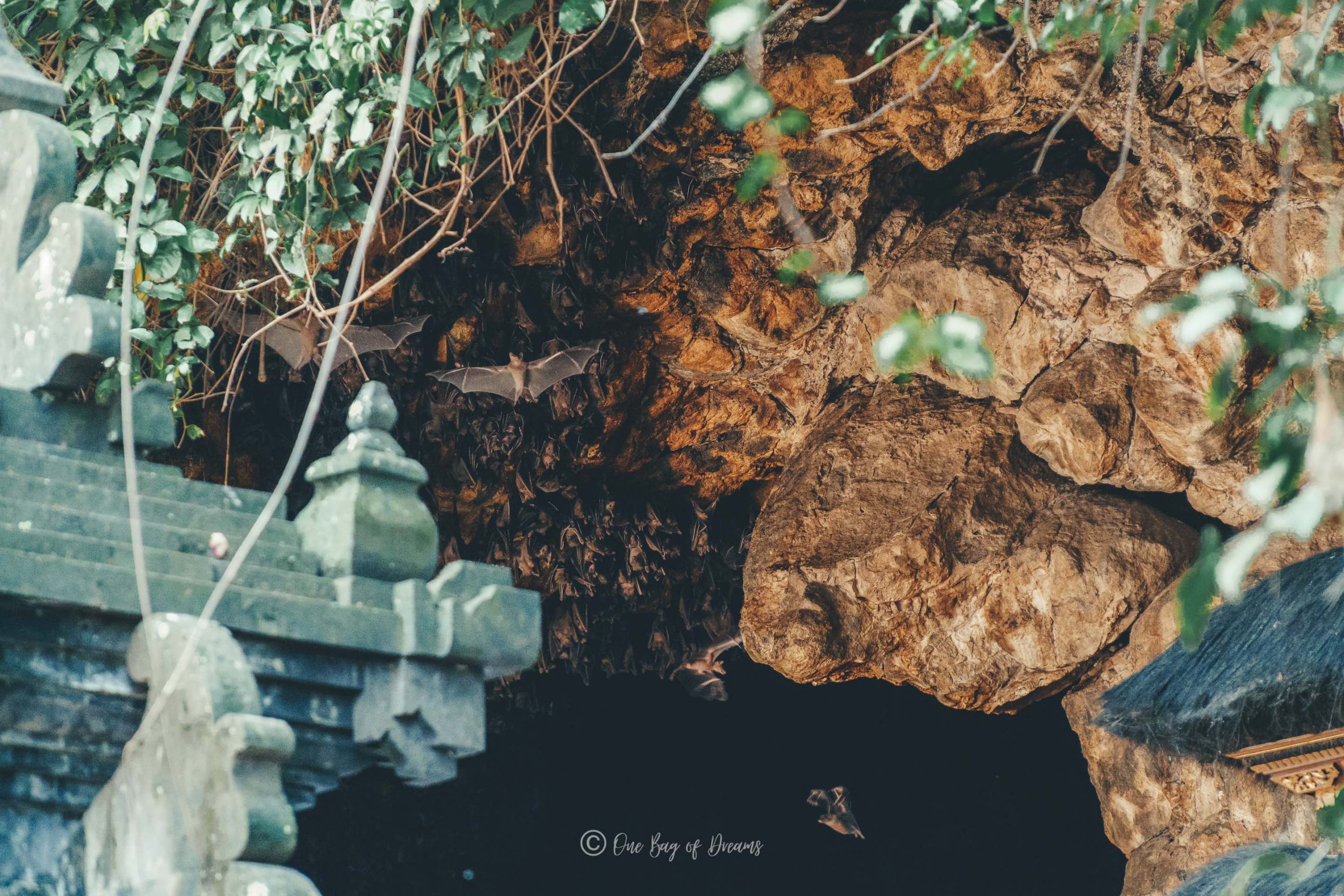 Bat Cave Temple in Bali