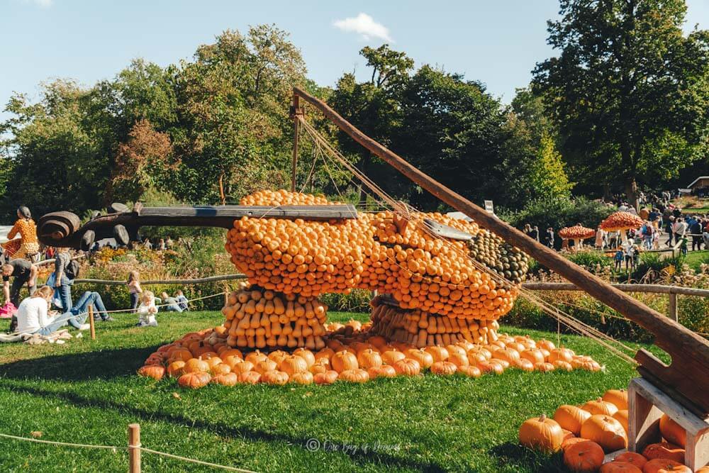 A violin made from pumpkin