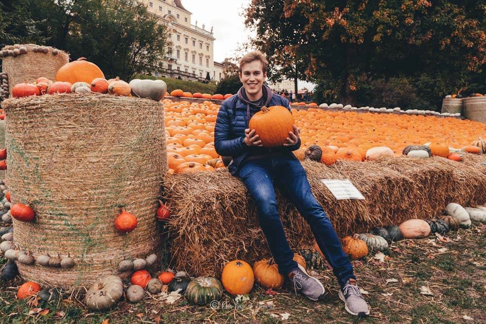 A pumpkin field