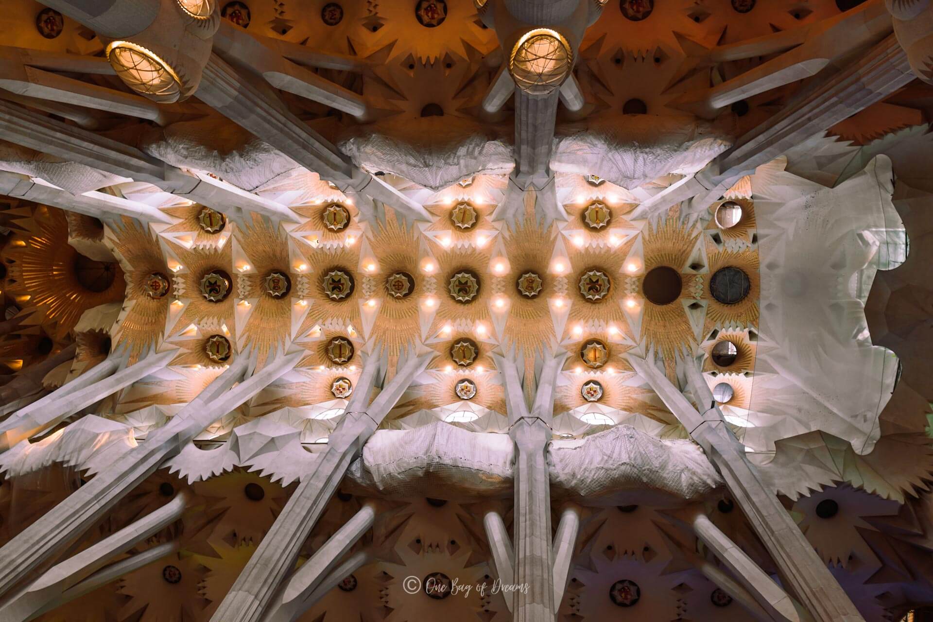 Ceiling of the Sagrada Família in Barcelona