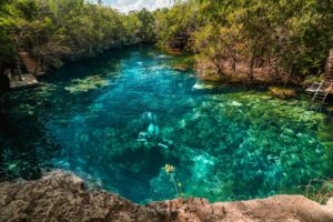 Read more about the article Cenote Jardín del Eden and an Evening in Playa Del Carmen