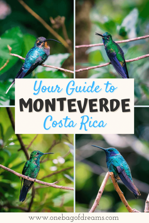 Monteverde Pin