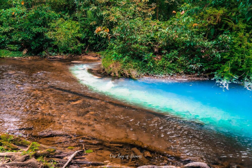 Rio Celeste is one of the things to do in La Fortuna Costa Rica