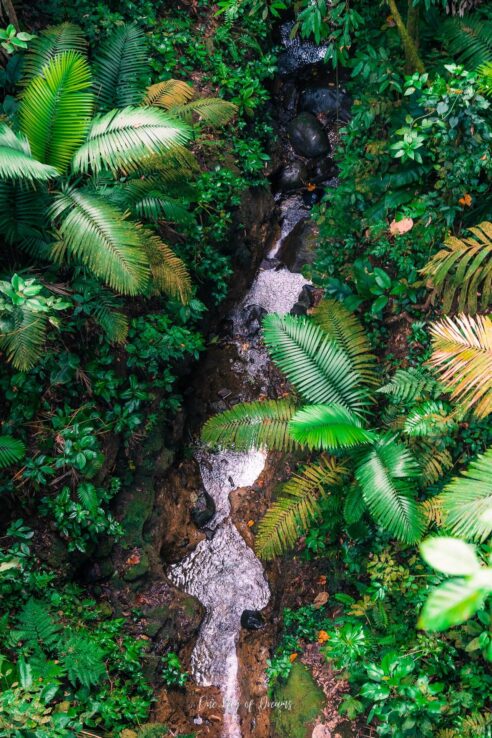 View from above in La Fortuna