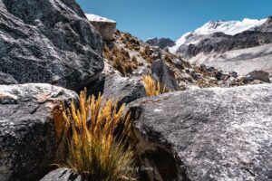 Read more about the article How to Summit Huayna Potosí in Bolivia