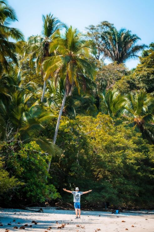 Beach in Manuel Antonio National Park