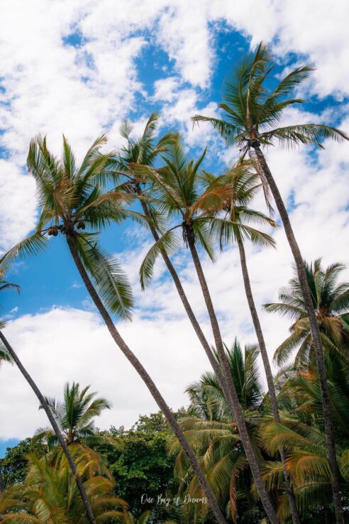 Beach in Uvita