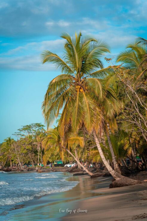 Beach at Manzanillo in Puerto Viejo