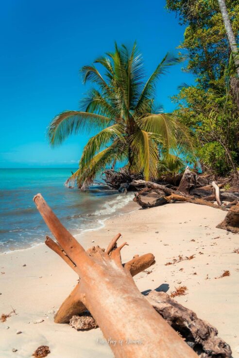 Beach in Cauhita National Park in Costa Rica