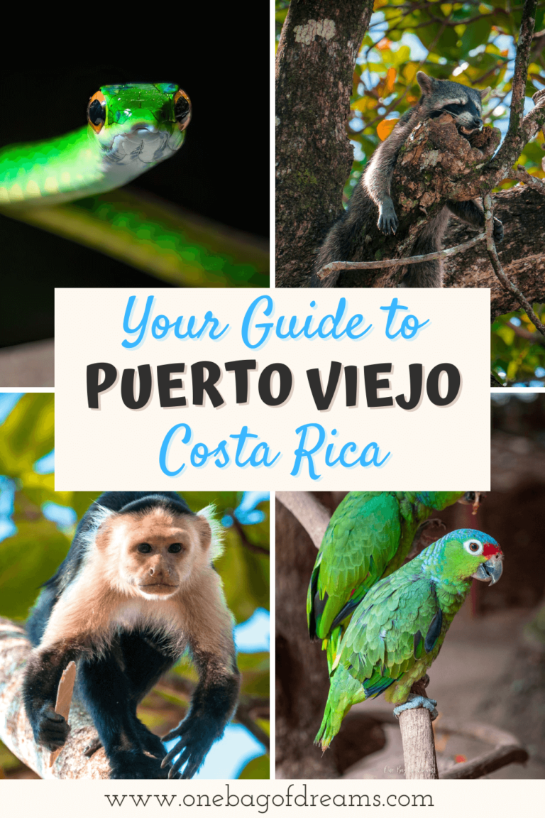 Guide to Puerto Viejo in Costa Rica