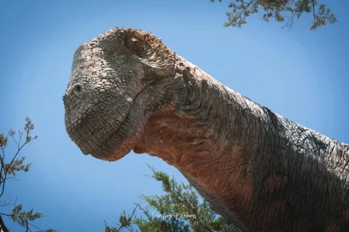 Dinosaur in Parque Cretacico in Sucre, Bolivia