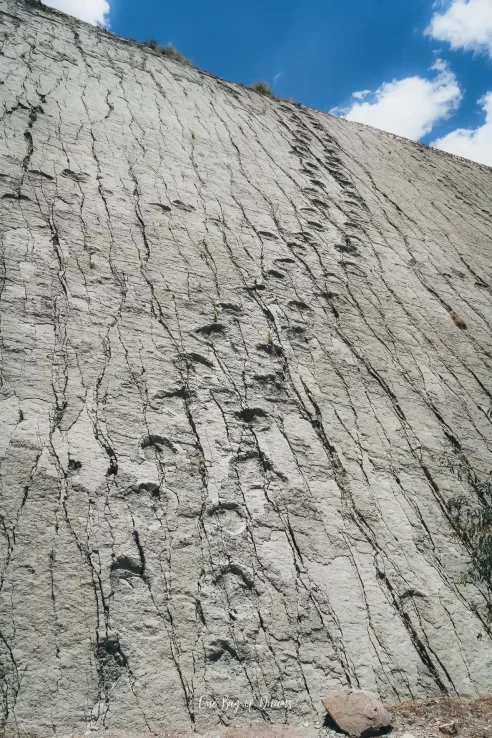 Dinosaur Footprints in Parque Cretacico in Sucre