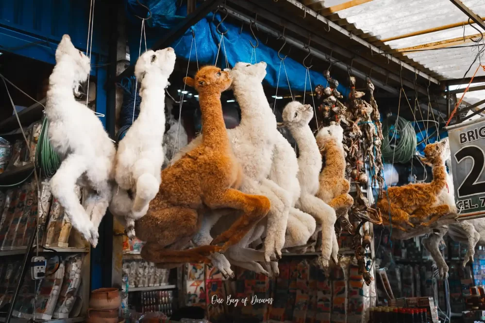 The Witch Market in La Paz