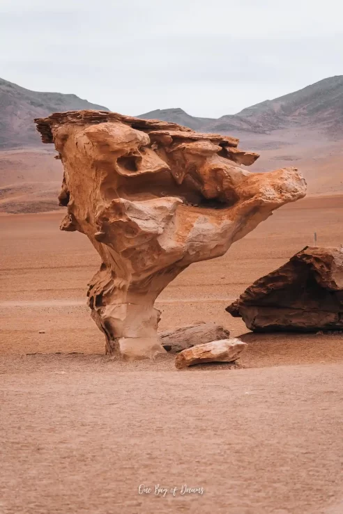 Stone Tree in Uyuni